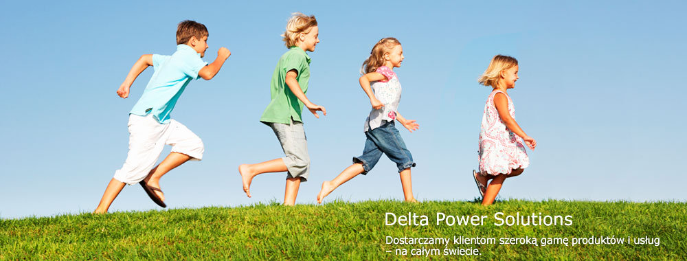 Delta Power Solutions - Dostarczamy klientom szeroką gamę produktów i usług – na całym świecie.
