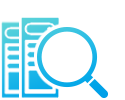 Asset Inspection Module